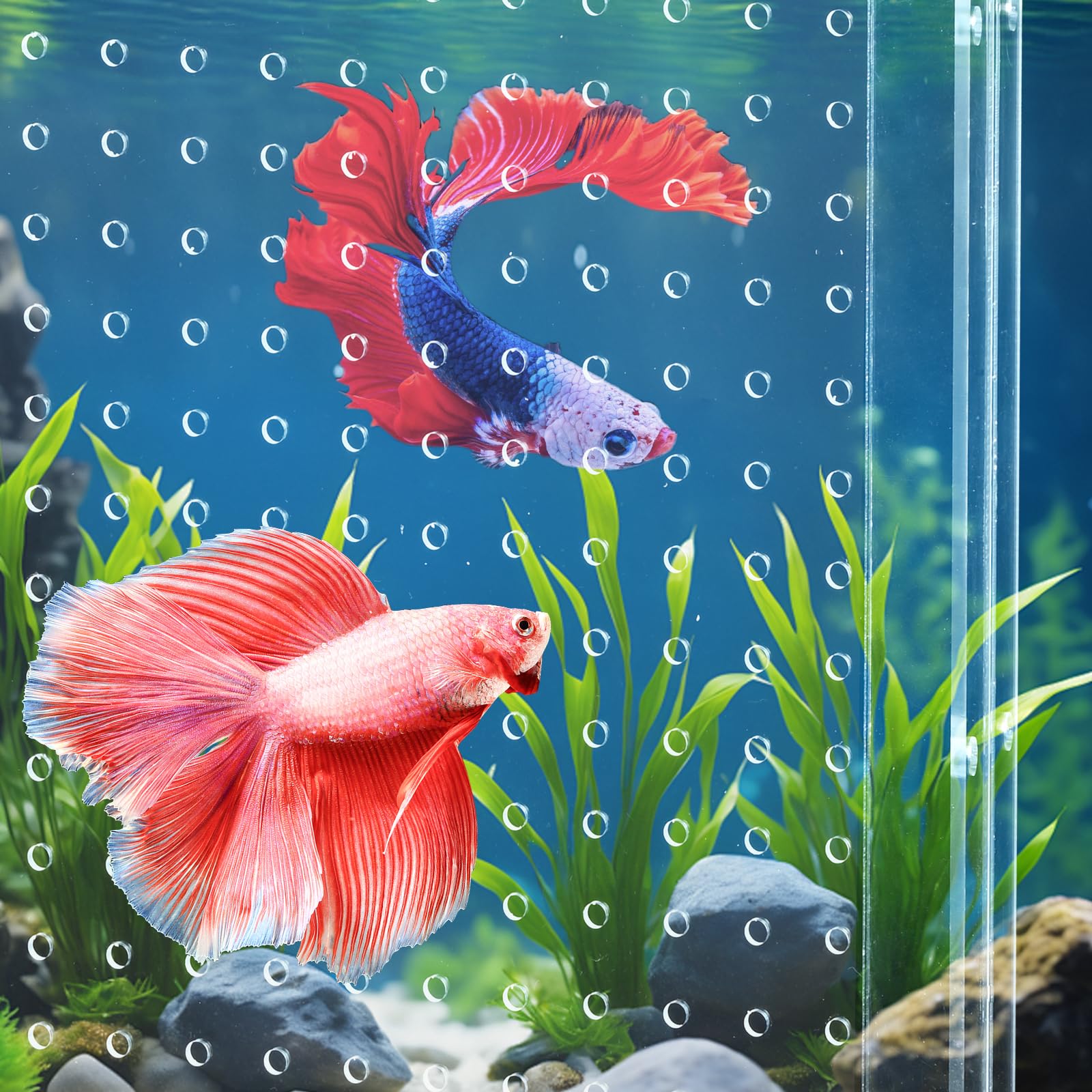 Uso diario en peceras; divisores para organización y bienestar de los peces.