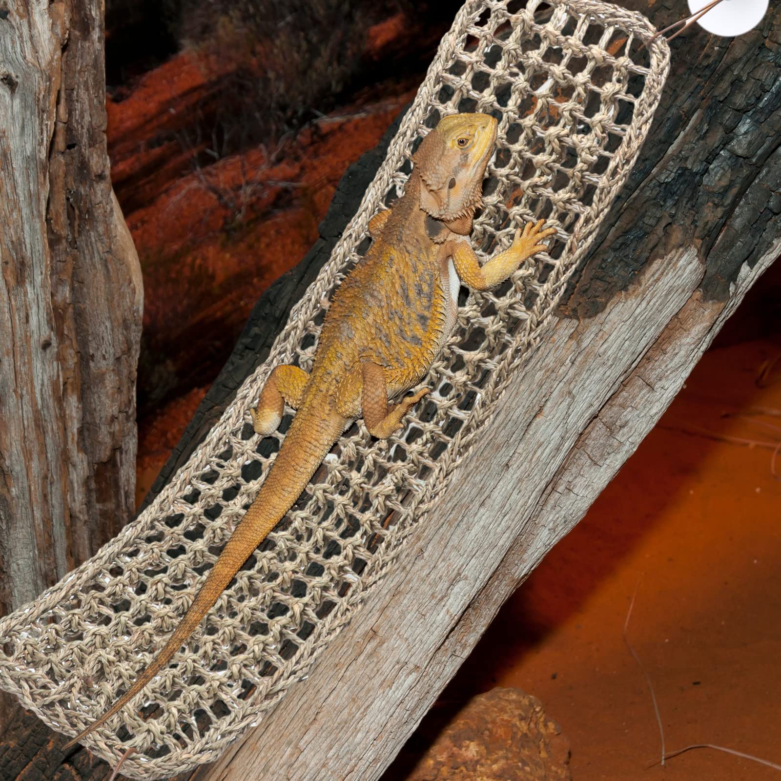 Silkfly compatibilidad amplia: apta para lagartos, geckos e iguanas.