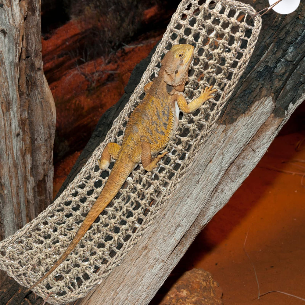 Silkfly compatibilidad amplia: apta para lagartos, geckos e iguanas.
