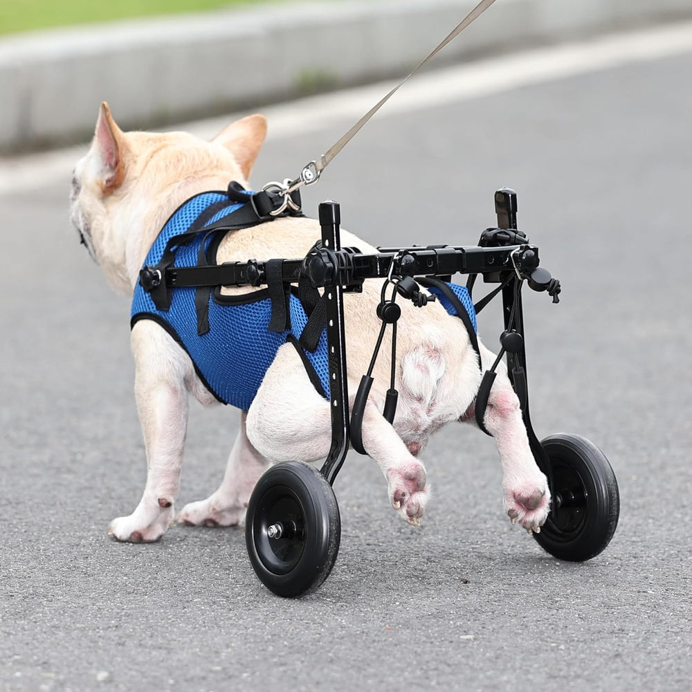Silla de ruedas para perro pequeño ajuste rápido para cambios simples.