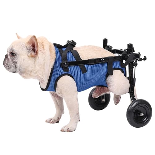 Silla de ruedas para perro pequeño diseño modular para uso en casa.