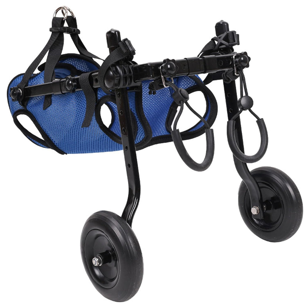 Silla de ruedas para perro pequeño durante paseo con apoyo de cadera.