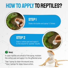 Aplicación en herida de reptil con Silver Grade.