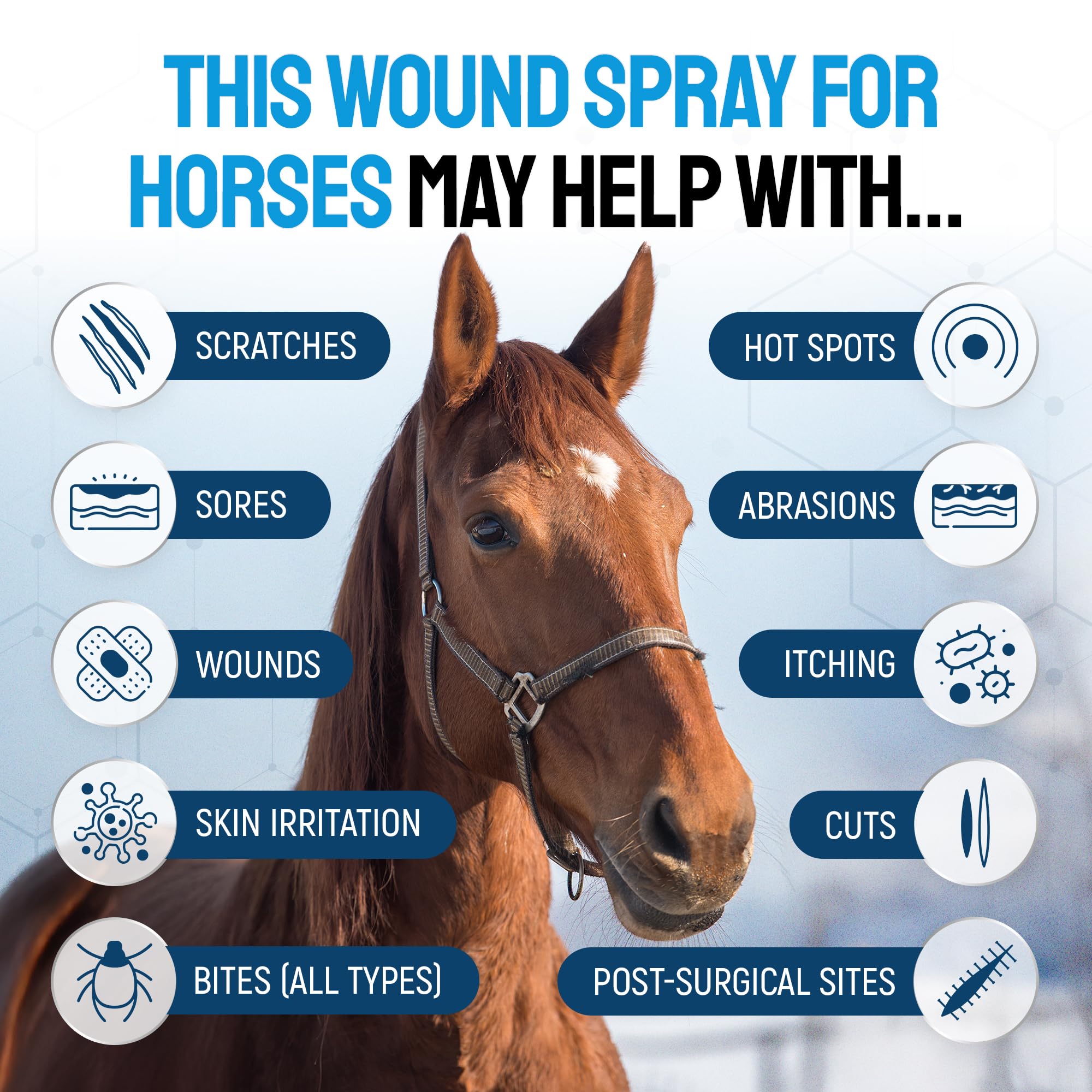 SILVER GRADE aplicación en spray para zonas irritadas del caballo