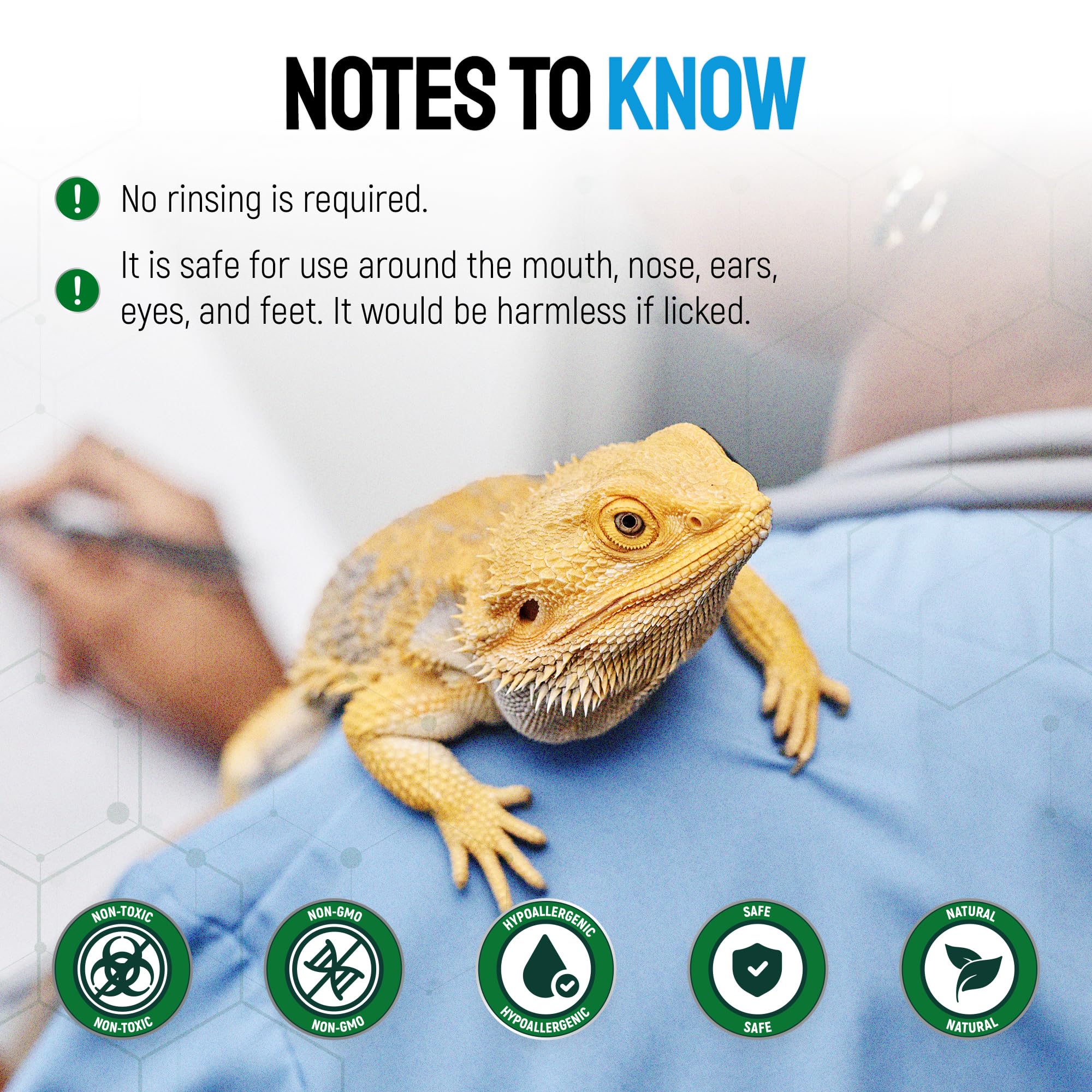 Cuidado en casa de reptiles con Silver Grade.