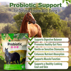 Mezcla probiótica equina de Silver Lining Herbs ayuda a equilibrio intestinal y vitalidad