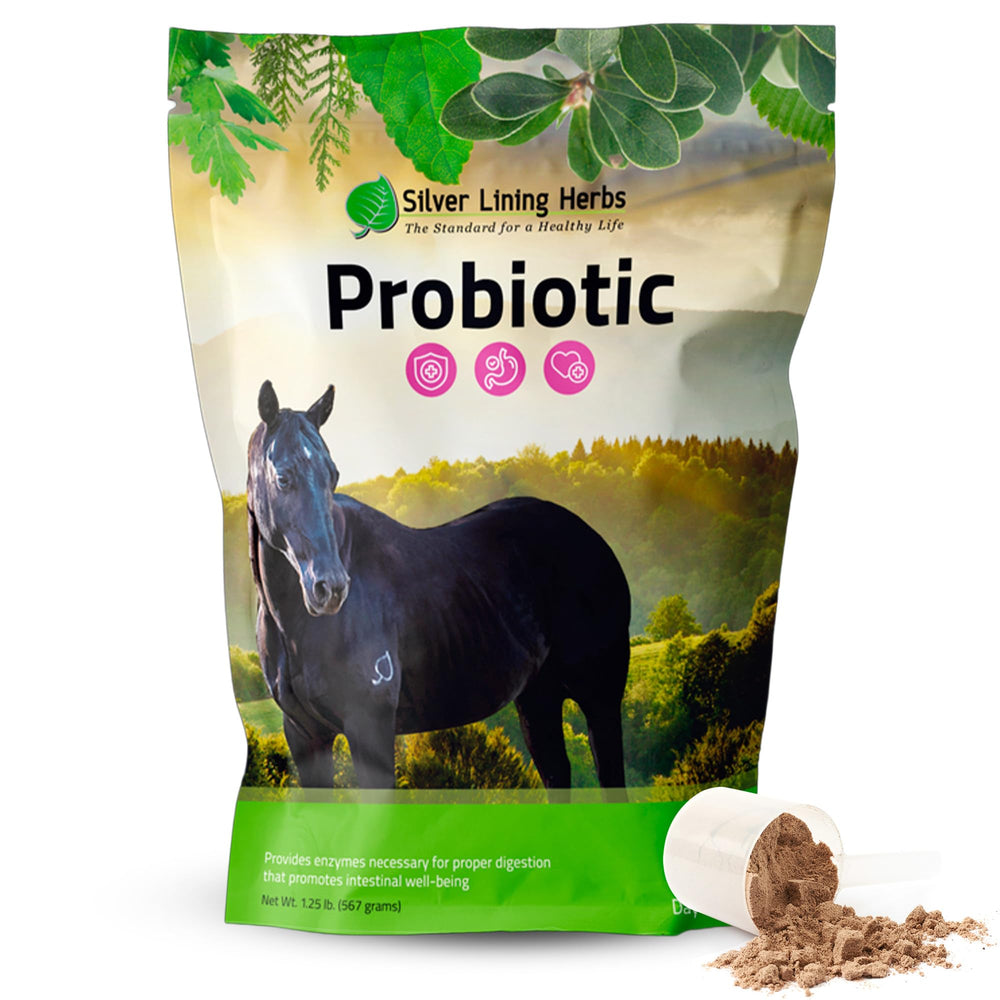 Silver Lining Herbs probiótico para caballos en polvo mejora la digestión y absorción de nutrientes