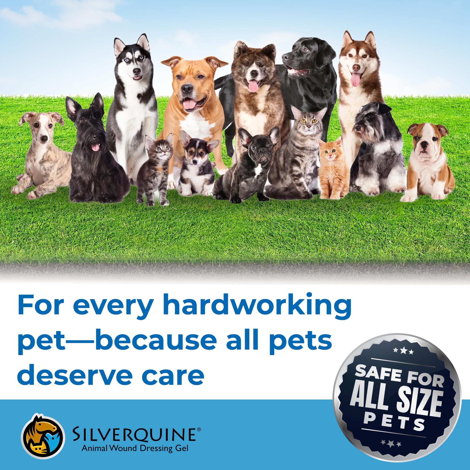 Silverquine Gel: solución de emergencia para lesiones de patas y piel sensible.