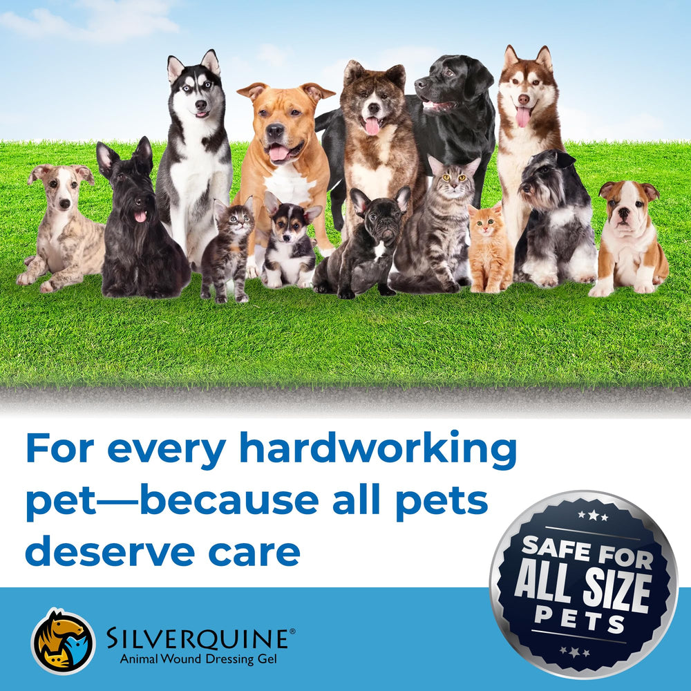 Ideal para kits de emergencia para mascotas en casa o de viaje con Silverquine.