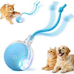 SilveWillo bola interactiva azul, ideal para juego activo y estimulación.