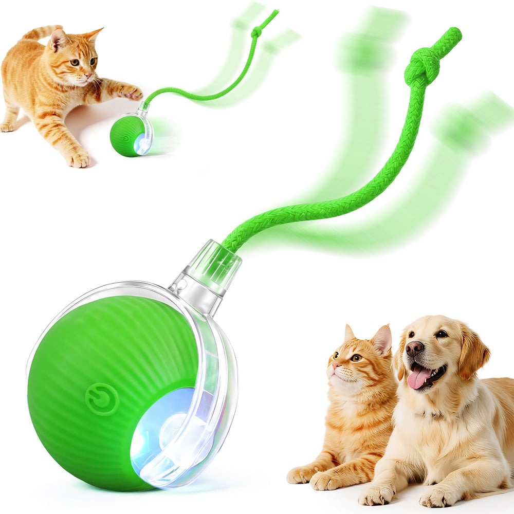 SilveWillo Pelota Interactiva en movimiento rápido para gatos y perros activos.