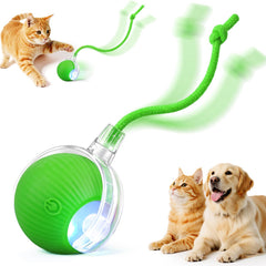 SilveWillo Pelota Interactiva en movimiento rápido para gatos y perros activos.