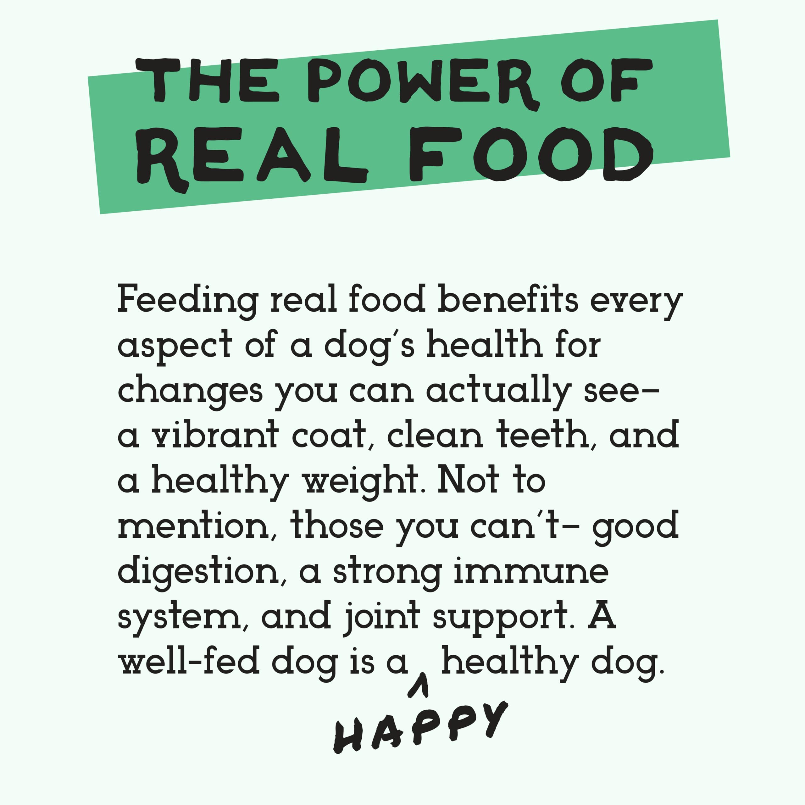 Simple Food Project Bison Recipe, complemento superior para comida de perros