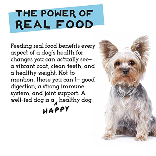 Simple Food Project pato-trucha para perros carnívoros, balanceado para necesidades.
