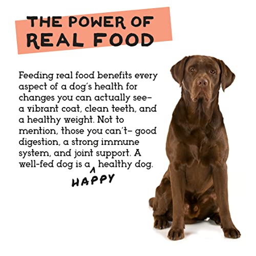 Simple Food Project – porciones-perro-40lb: apto para alimentar perros de 40 lb de forma práctica.