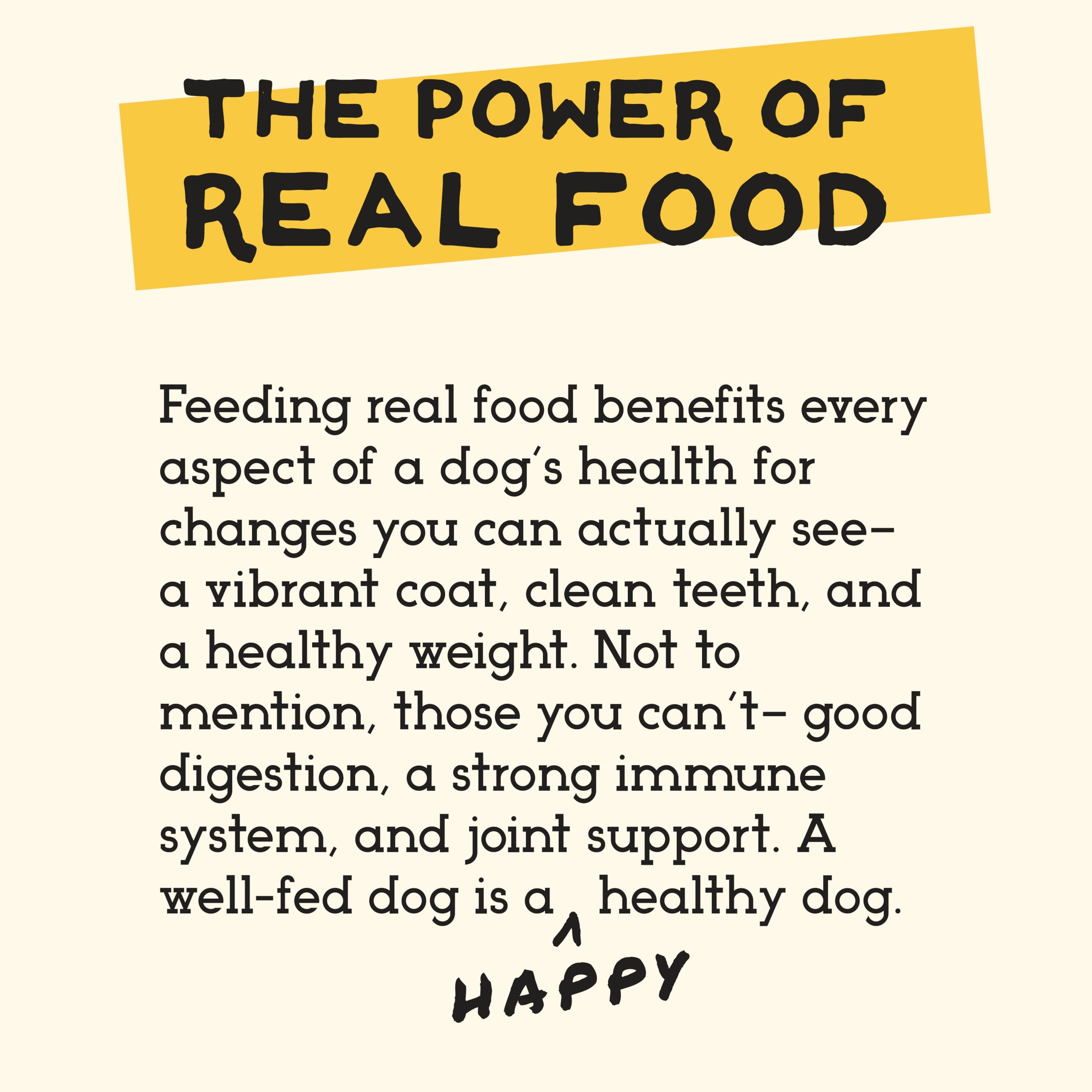Simple Food Project topper de cordero para perros, ideal para mezclar con su comida.