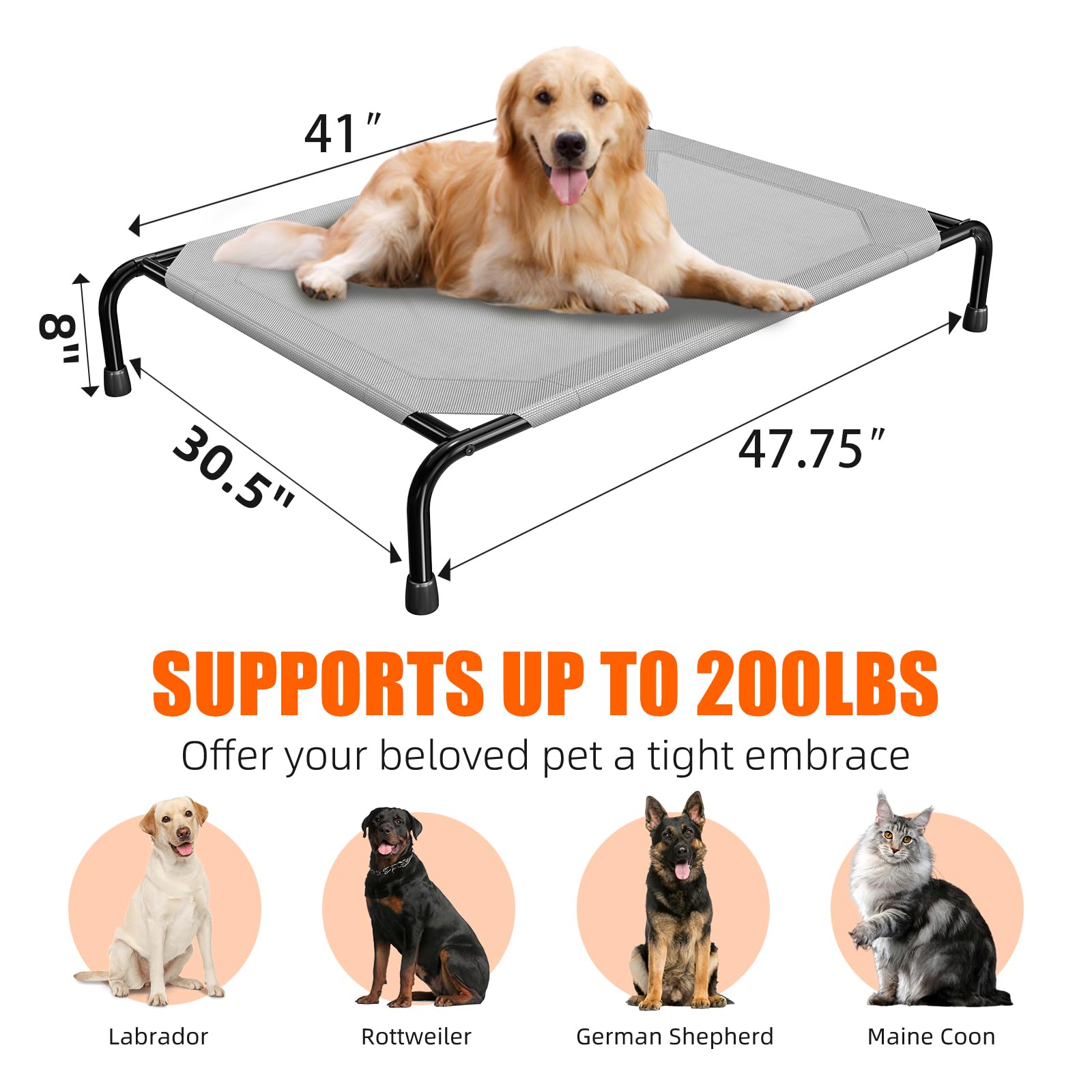 Simple Trending cama elevada para perros grandes, montaje estable con dos adultos.