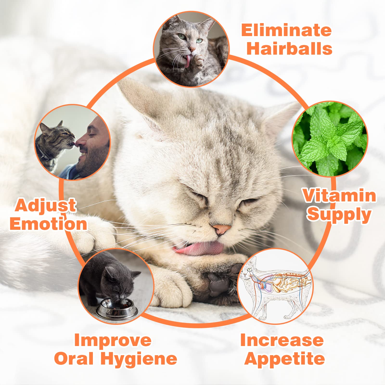 Bola comestible SINROBO para limpieza dental suave en gatos.