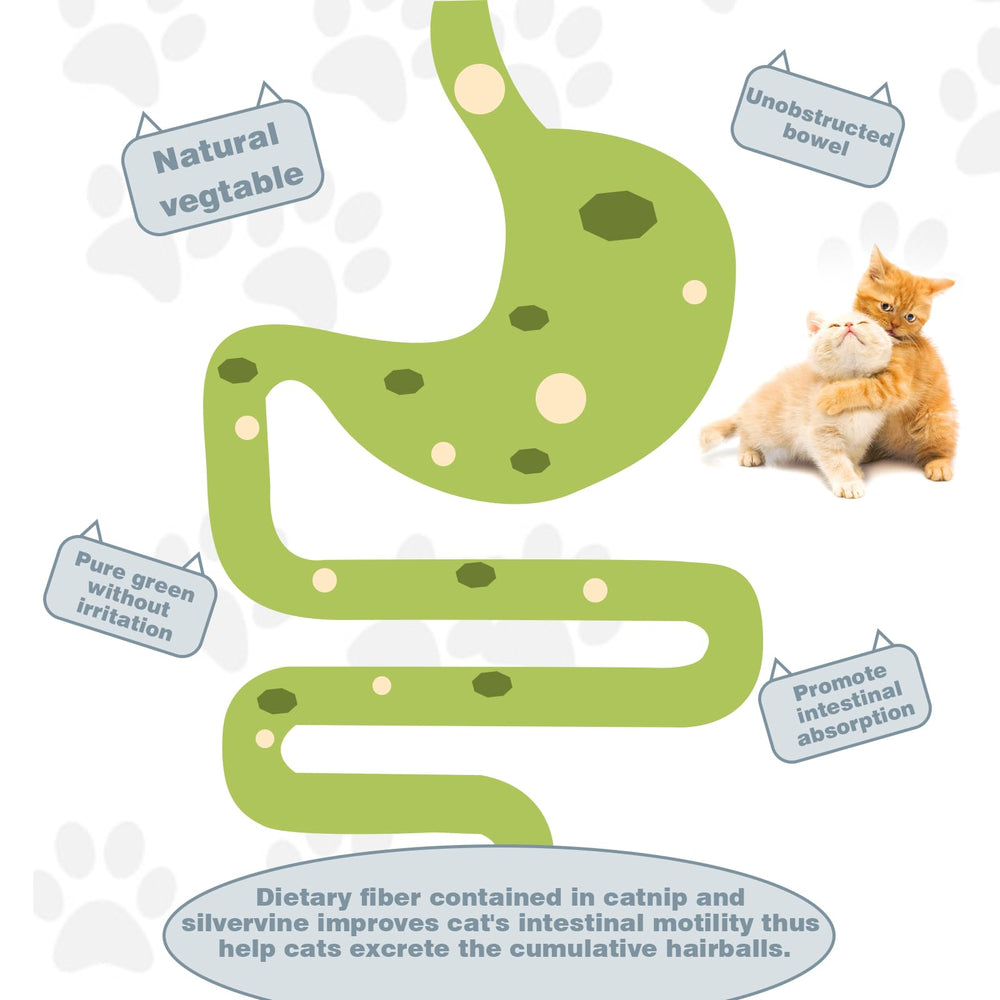Variedad de sabores SINROBO en bolas para gatos en pared