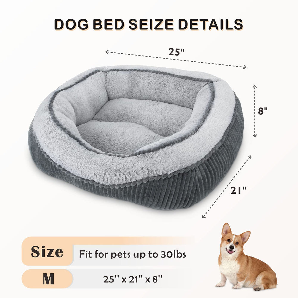 Uso versátil en sala y coche con SIWA MARY.