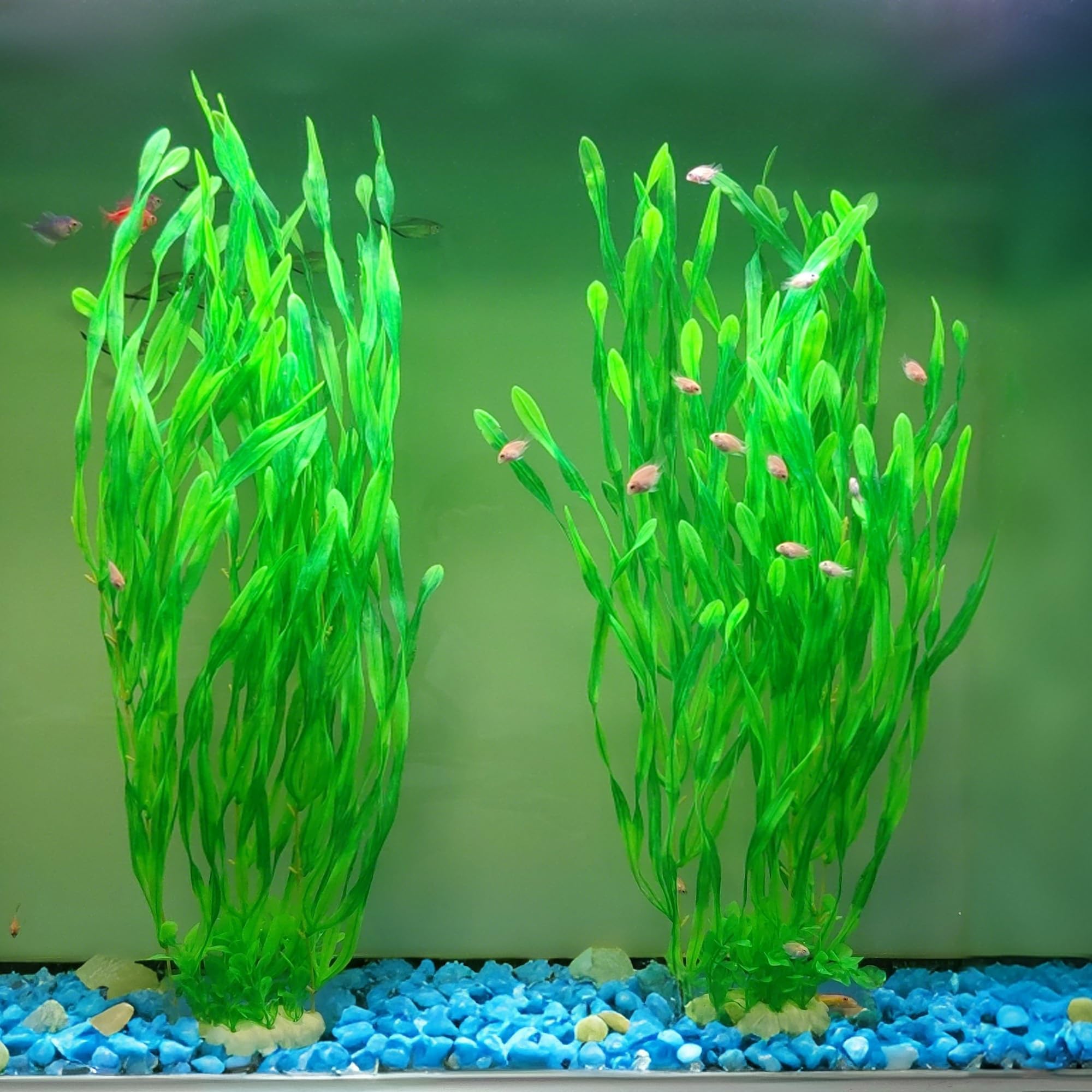 SIYIPURR planta acuario 66 cm – detalle realista y movimiento natural