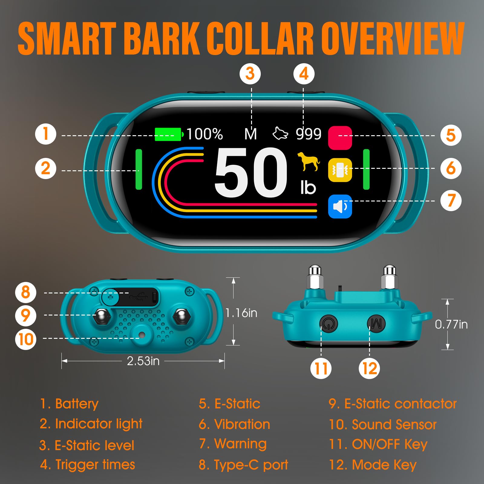 Uso diario del collar SKBAK durante paseos y juegos