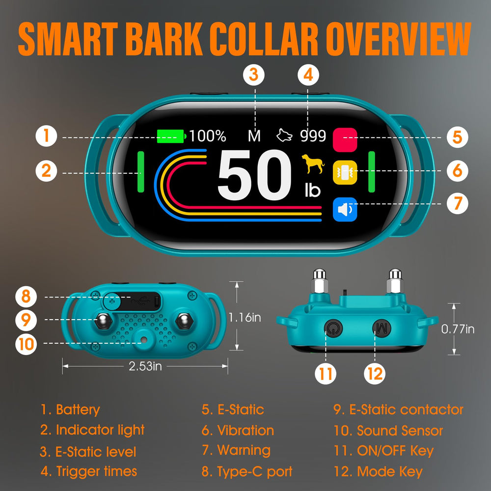Uso diario del collar SKBAK durante paseos y juegos