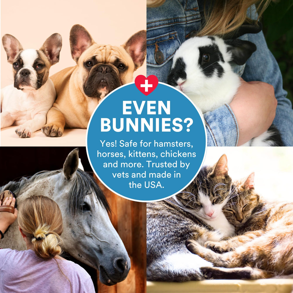 SkinSmart Antimicrobial, uso seguro para perros, gatos, caballos y otros.