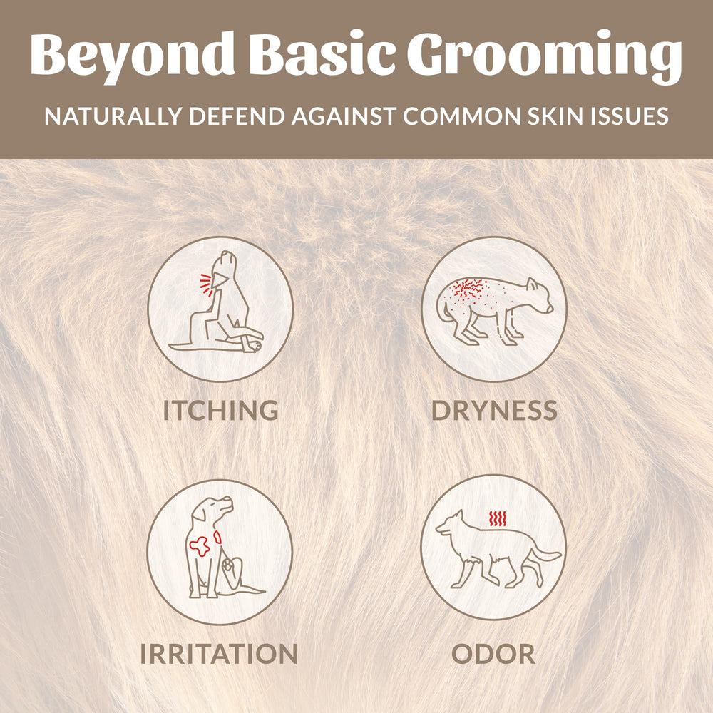 Skout's Honor champú para perros, espuma suave, experiencia de baño agradable.