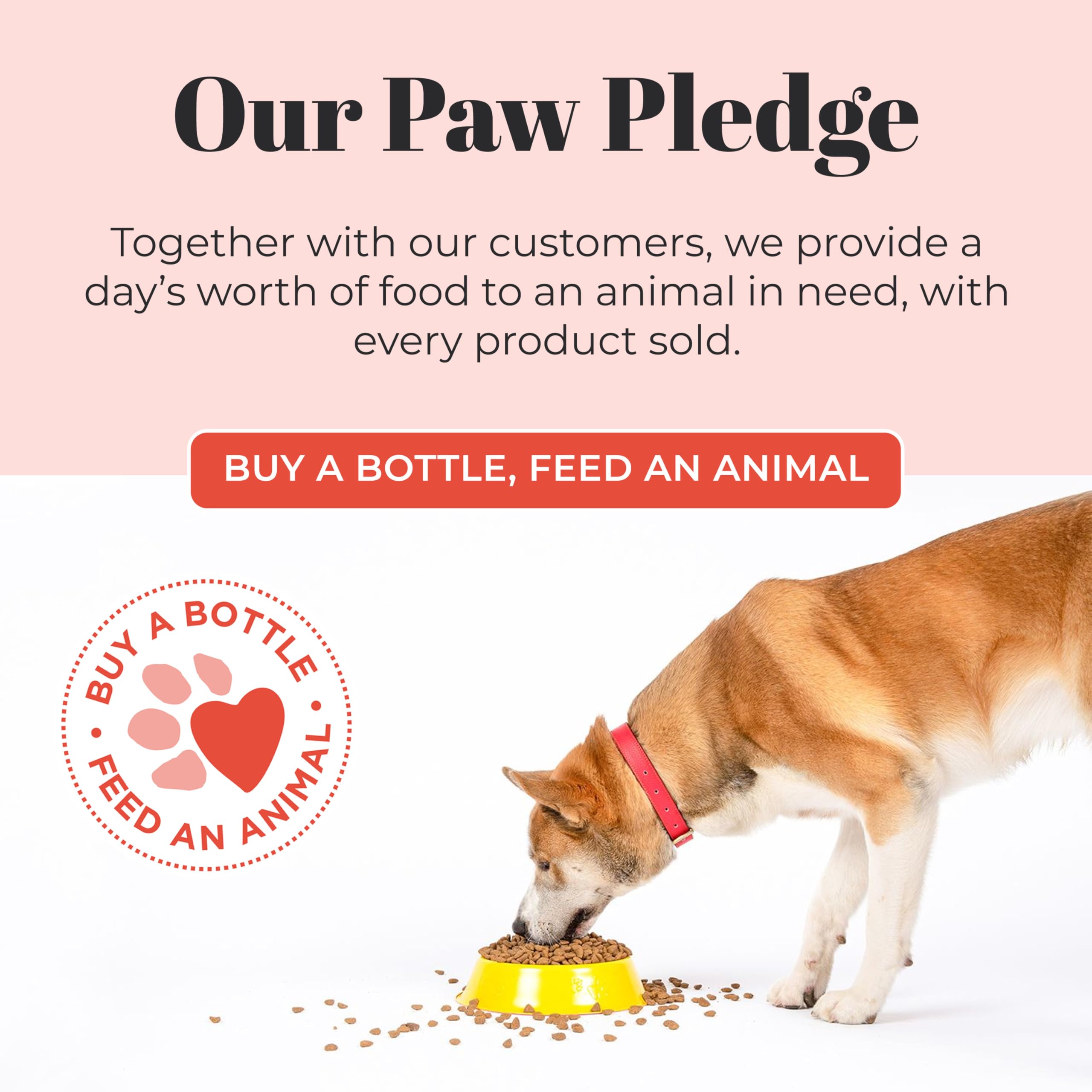 Fórmula cruelty-free de Skout’s Honor para aseo responsable del perro.