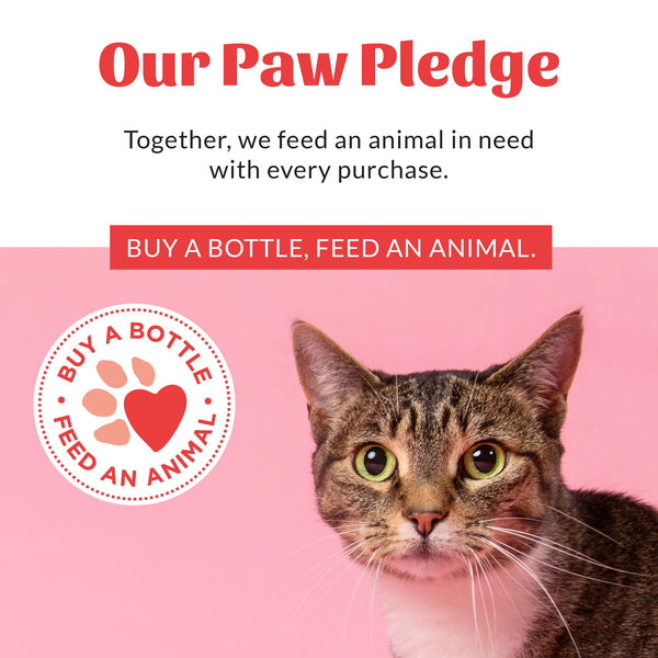 Skout's Honor, donacion-por-cada-compra para animales necesitados.