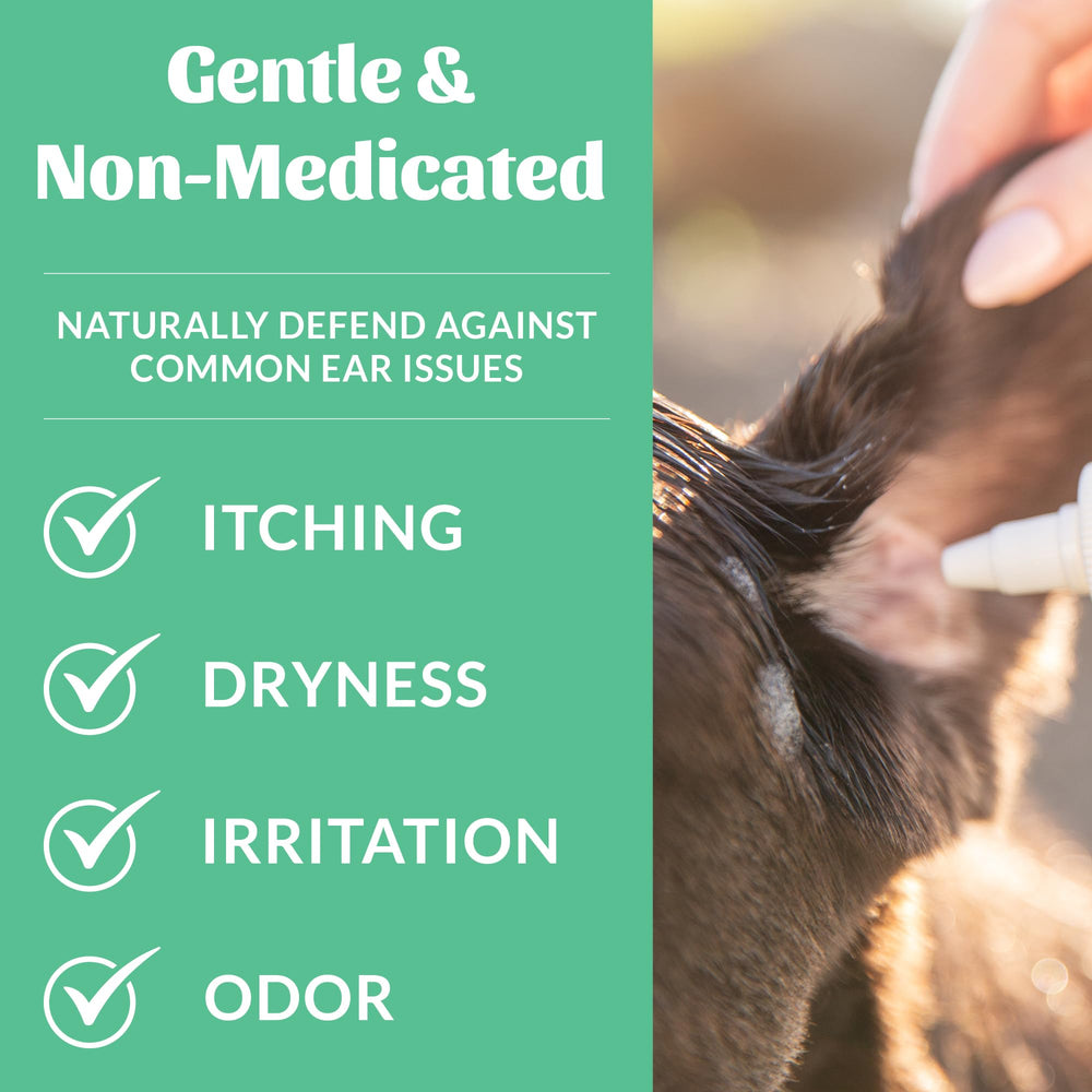 Certificación Microbiome-Friendly para respetar el equilibrio de la piel del perro.