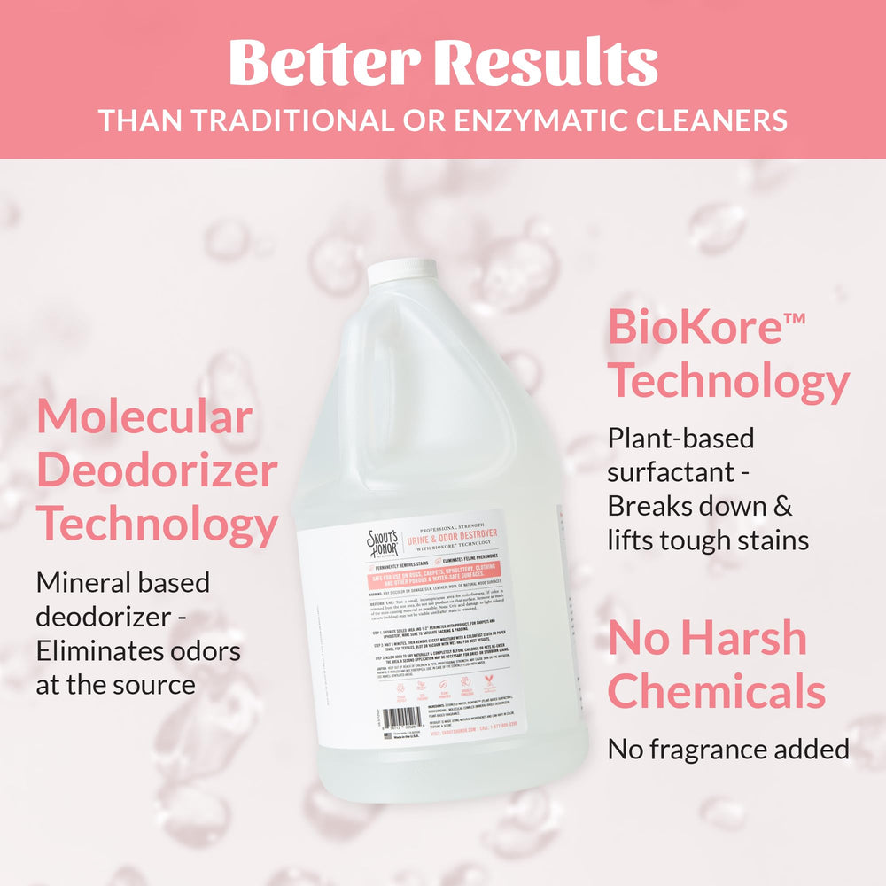 Skout's Honor, limpieza-de-manchas-en-alfombras, resultados duraderos.