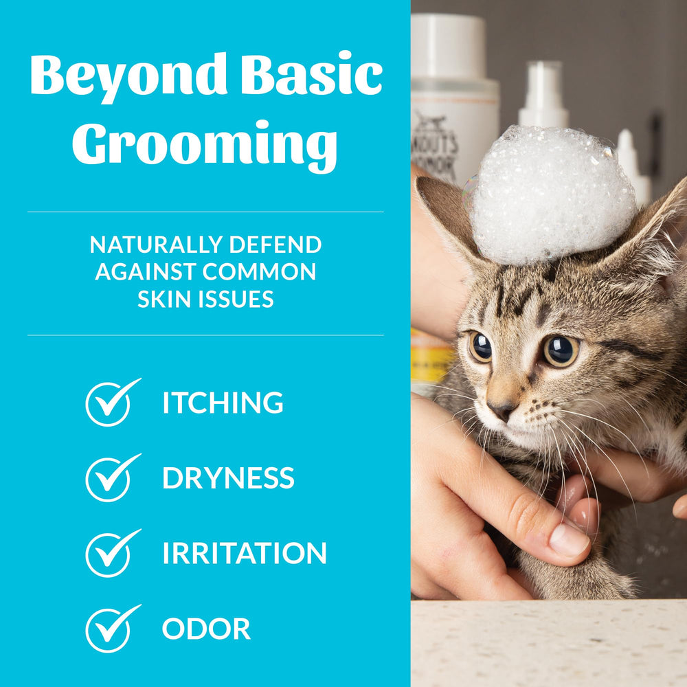 Skout's Honor champú con omega-3 para gato, foco: acondicionamiento que deja pelaje suave.