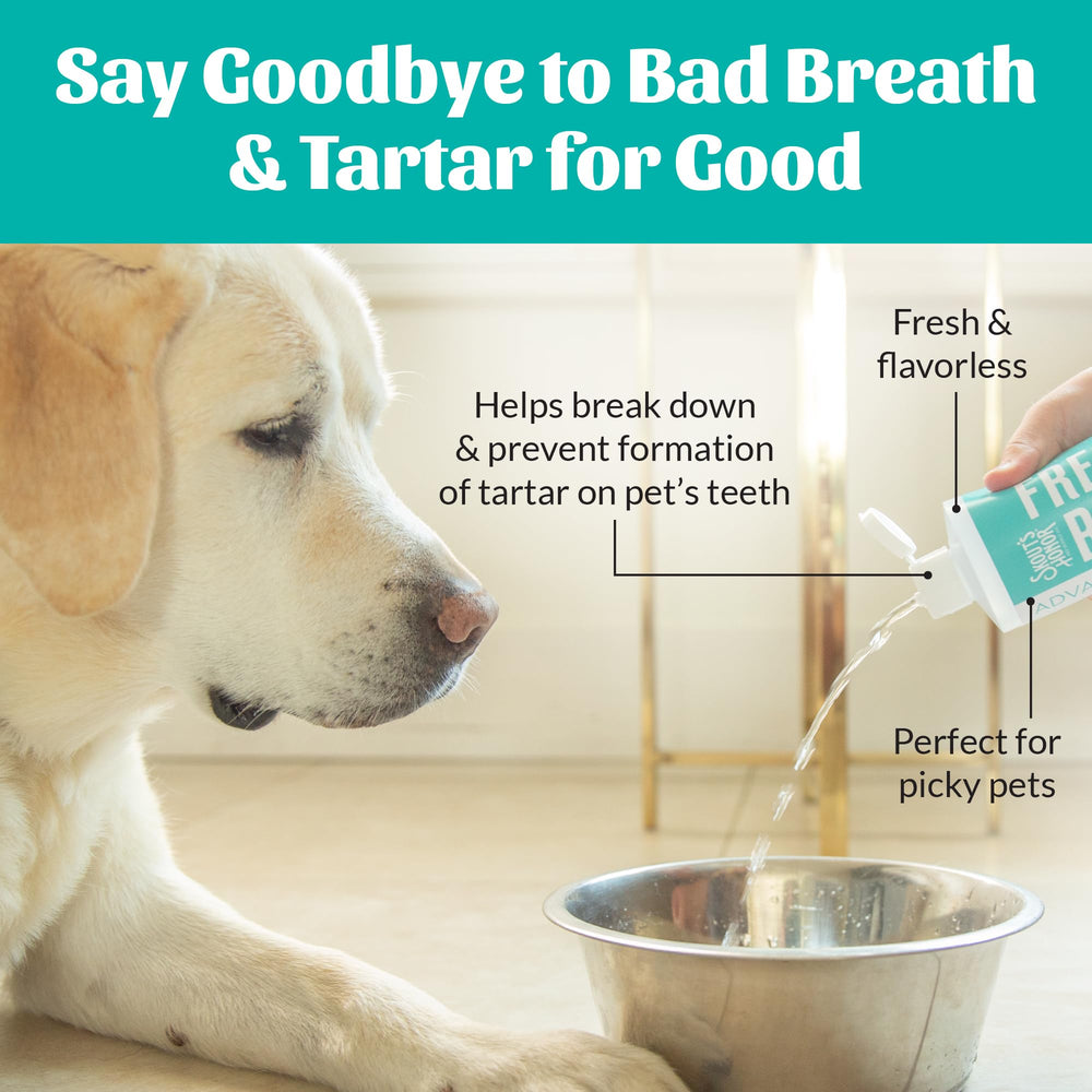 SKOUT'S HONOR: apto para perros y gatos, uso diario.