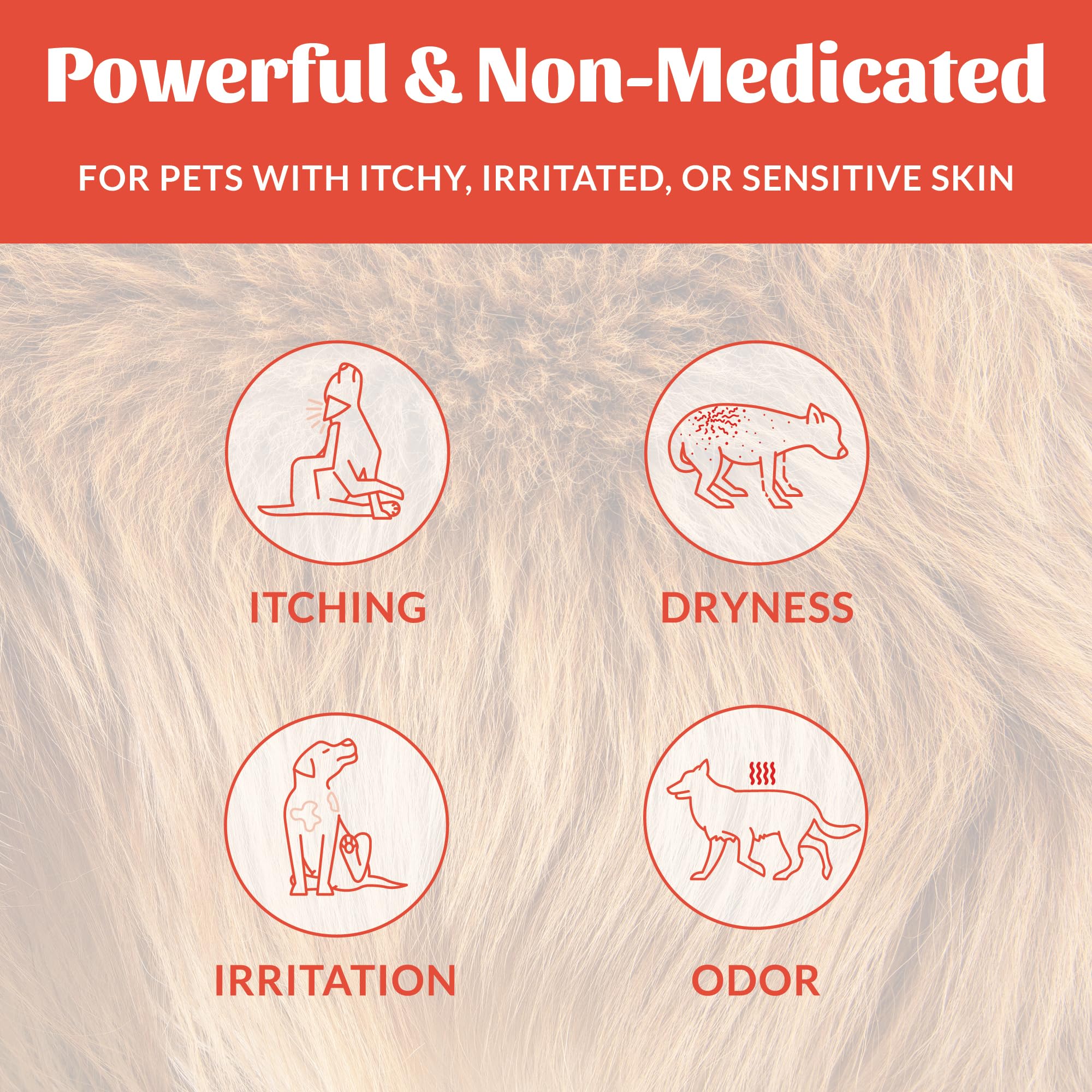 SKOUT'S HONOR Probiotic Itch Relief Shampoo, muestra omega-3, nutrición del pelaje.