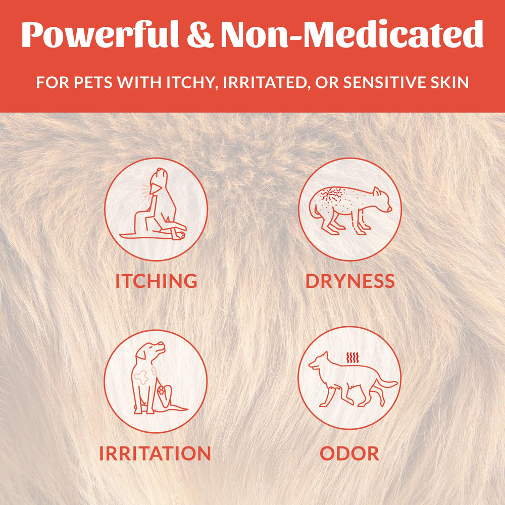 SKOUT'S HONOR Probiotic Itch Relief Shampoo, muestra omega-3, nutrición del pelaje.
