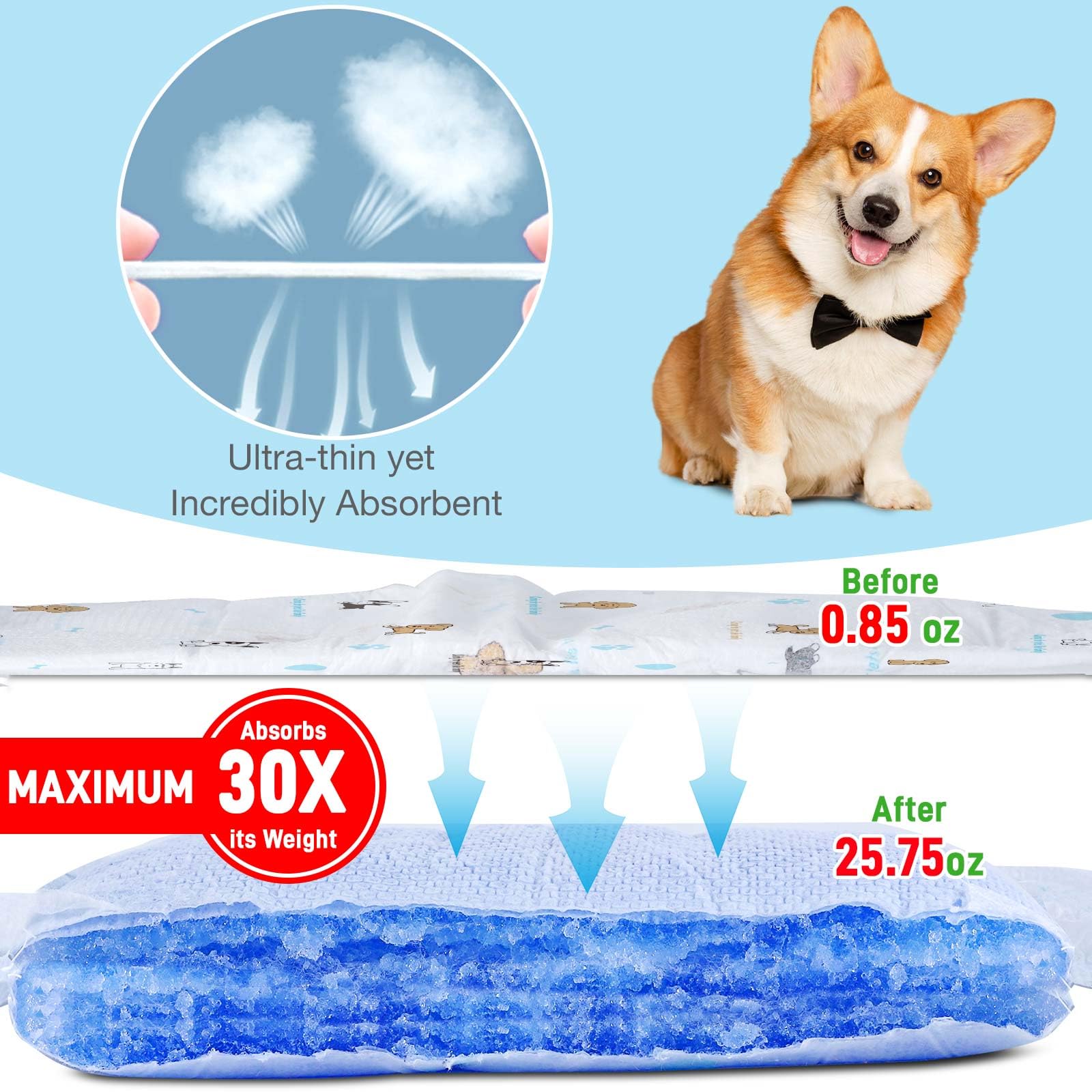SkyLion pañales con absorción rápida para mantener al perro seco