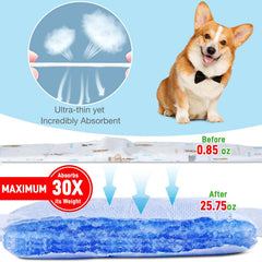 SkyLion pañales con absorción rápida para mantener al perro seco