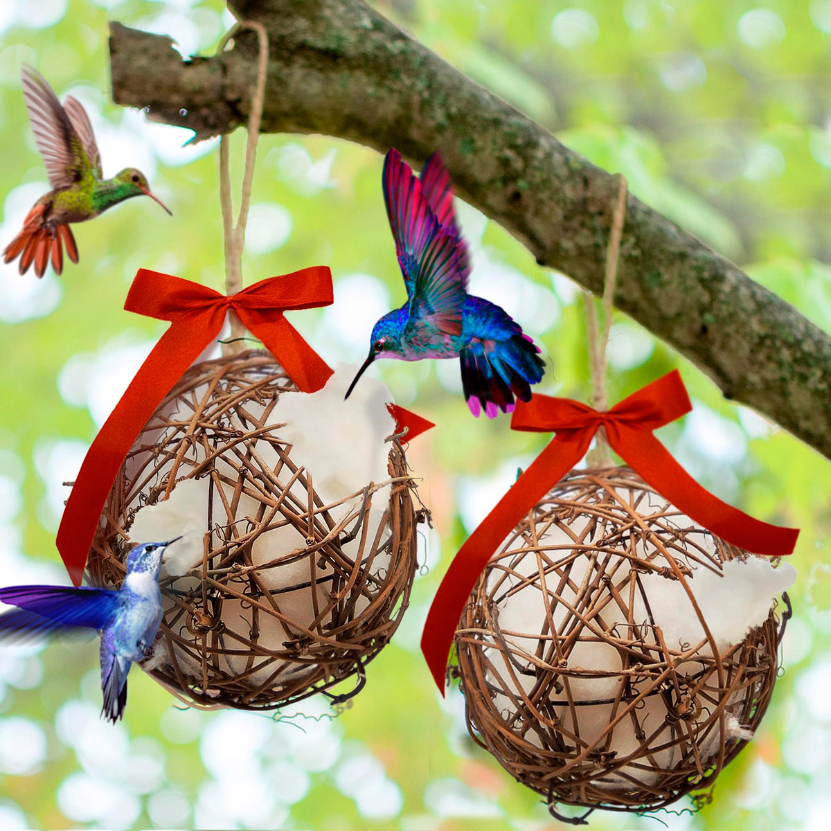 Slivche bolas-nido-colibri: atrae colibríes en jardines exteriores.
