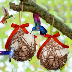 Slivche bolas-nido-colibri: atrae colibríes en jardines exteriores.