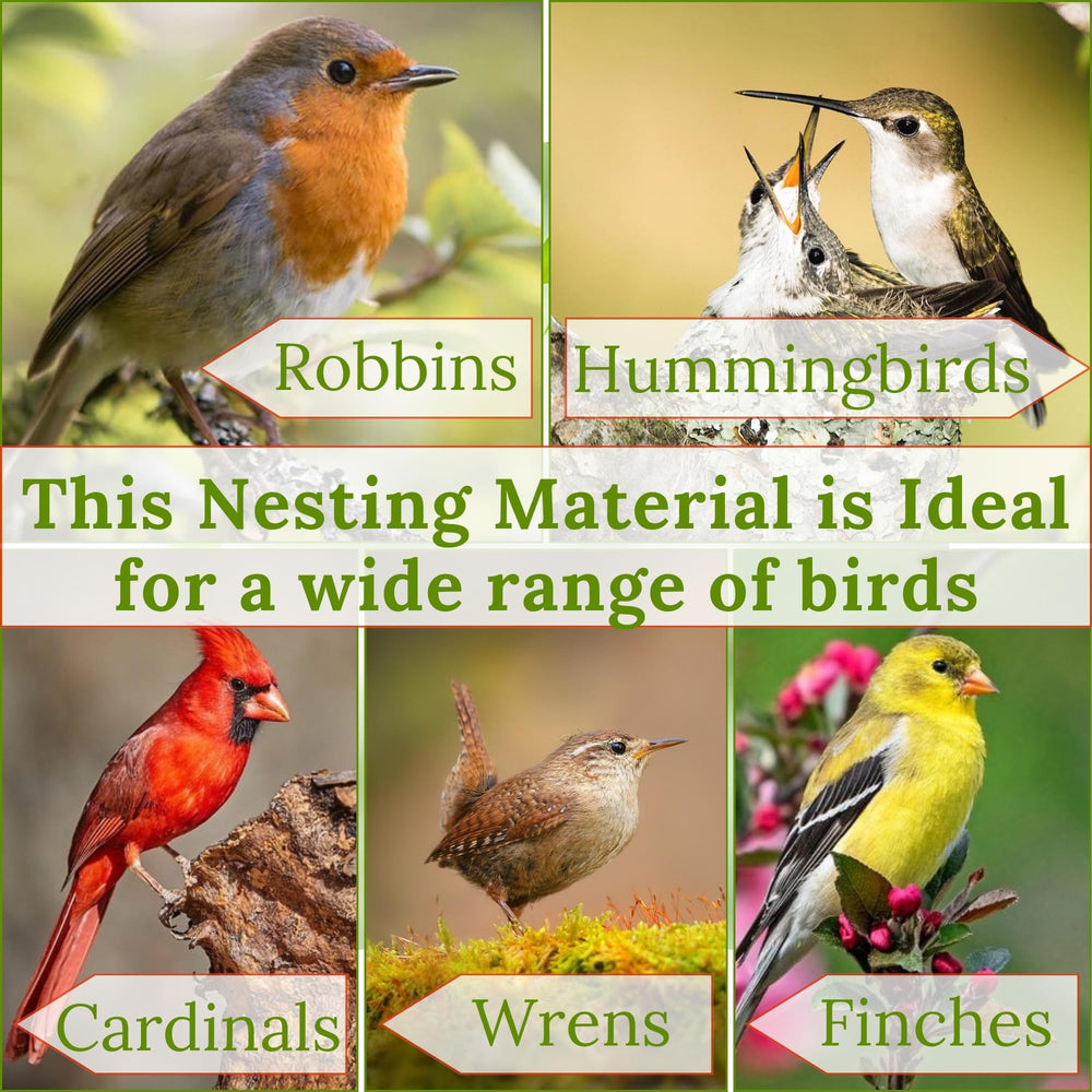 Slivche fibra-algodon-nido-colibri: interior suave para las aves.