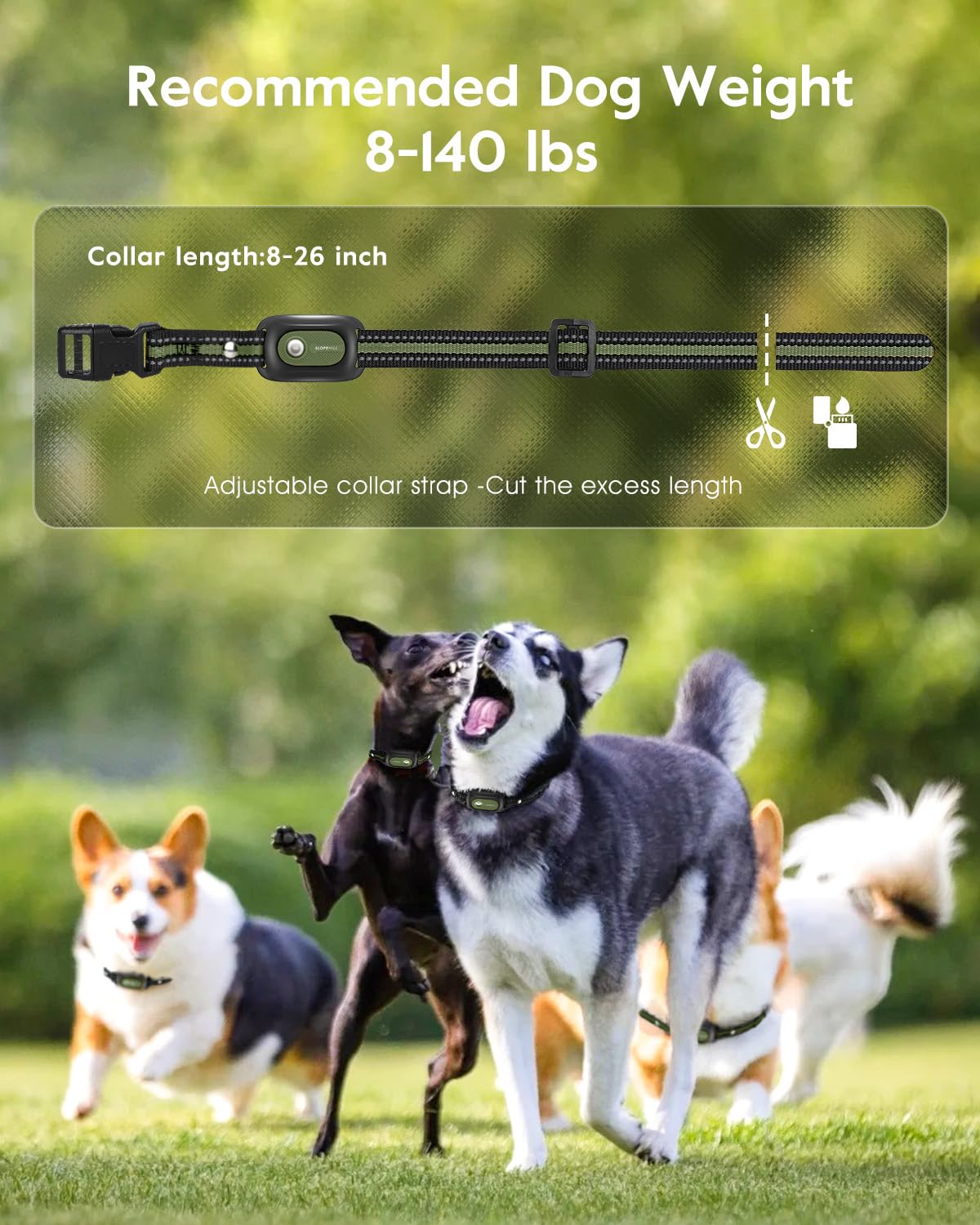 SLOPEHILL collar con batería recargable para sesiones largas de entrenamiento.