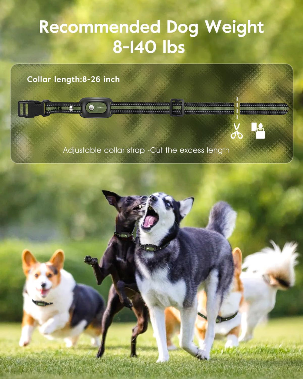 SLOPEHILL collar con batería recargable para sesiones largas de entrenamiento.