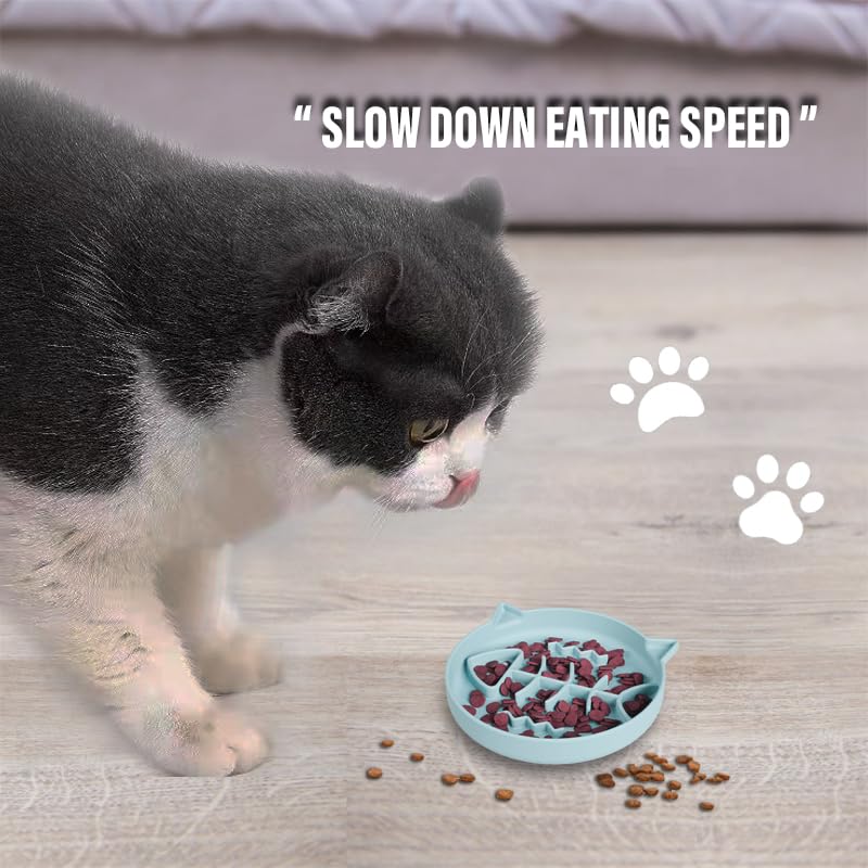Slowpaw capacidad de 1 taza (9 onzas), ideal para porciones diarias de gatos.