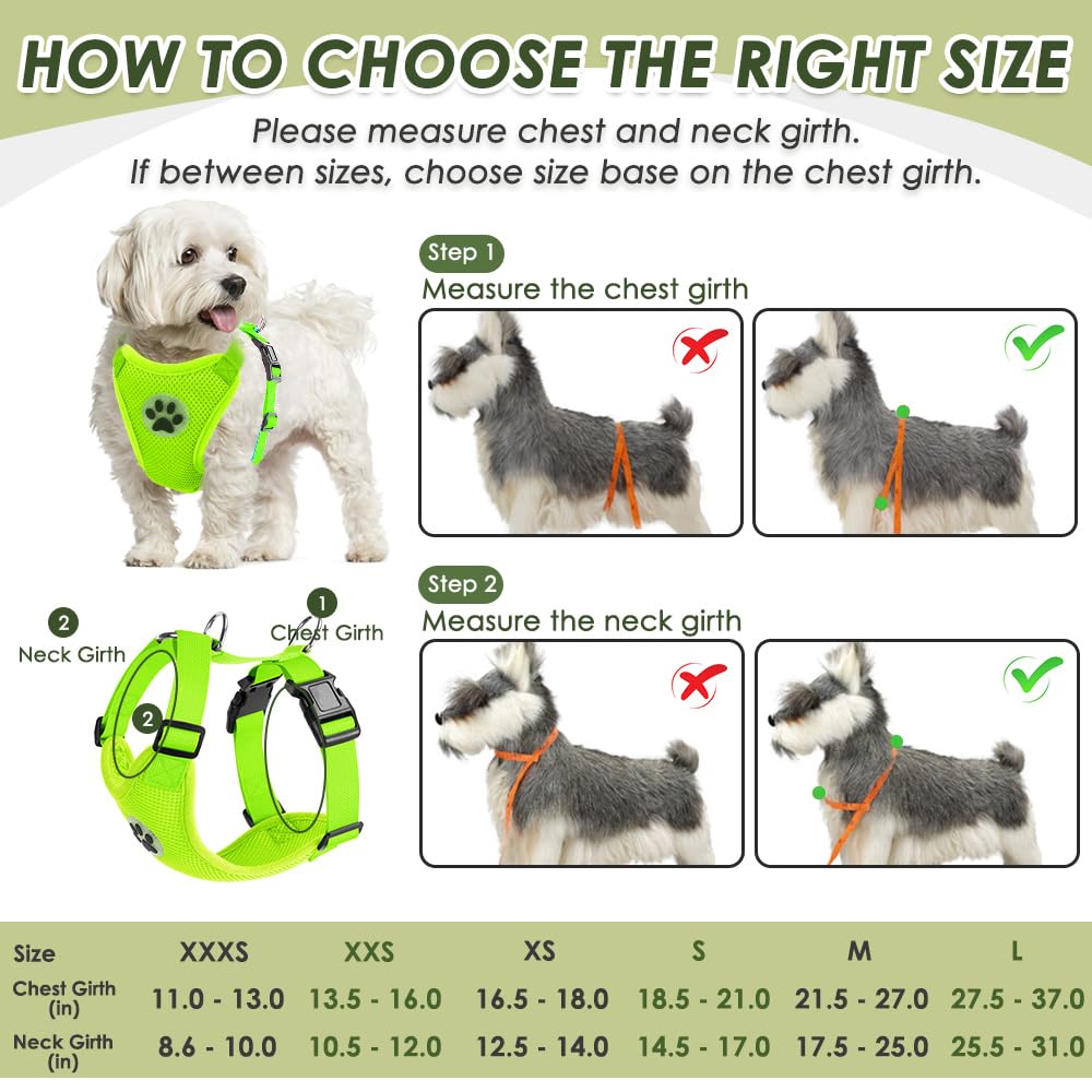 Arnés SlowTon diseño de seguridad para vehículo y perro.