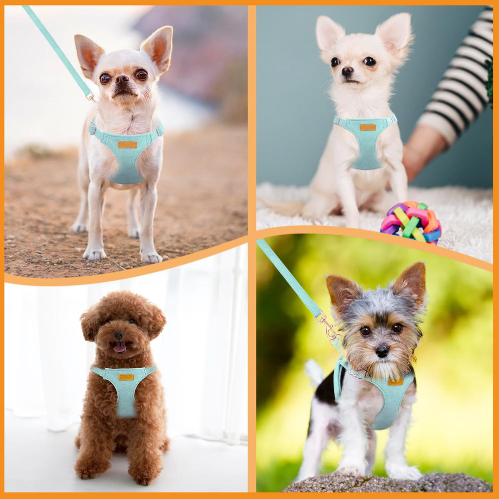 SlowTon arnés cómodo y duradero, ideal para perros pequeños.