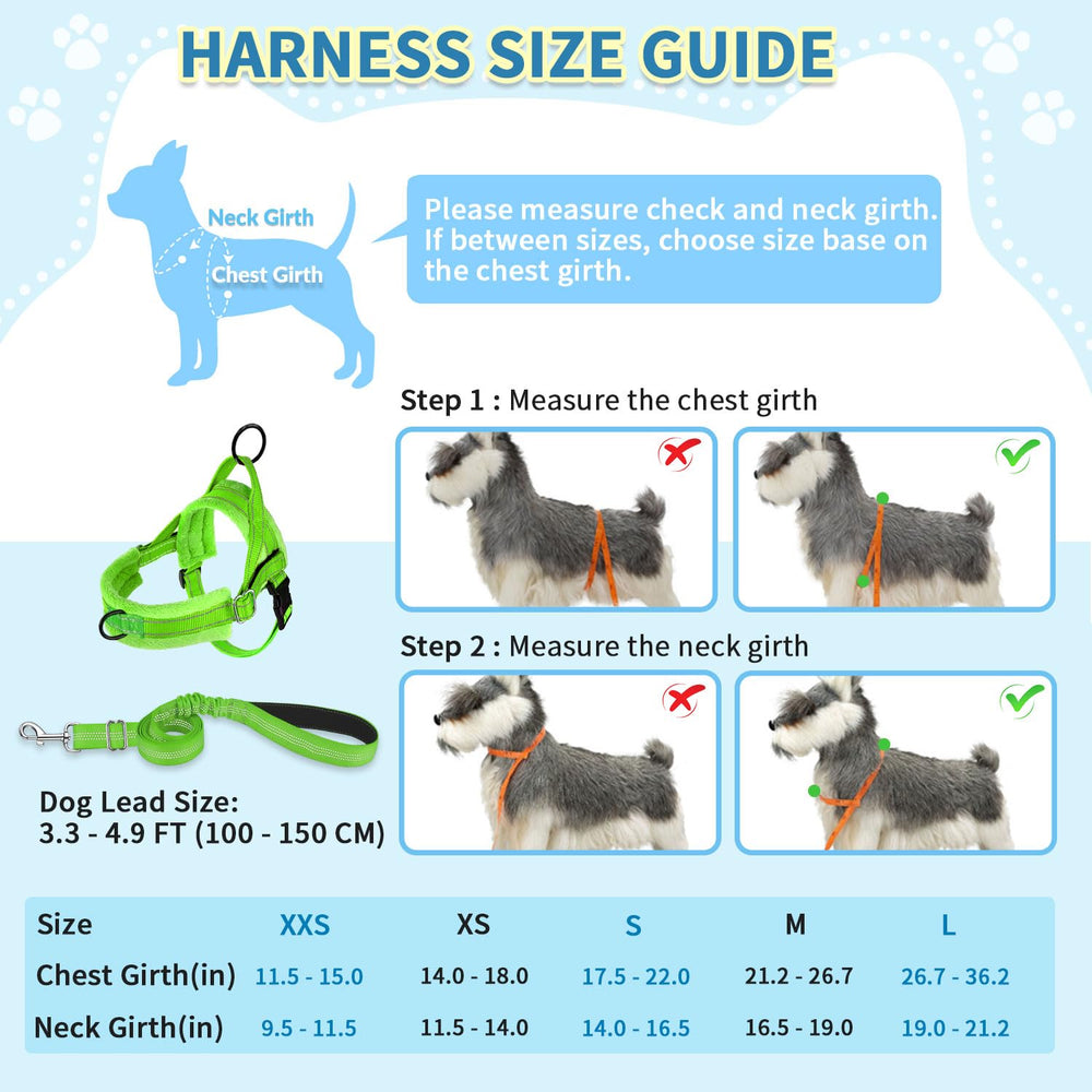 SlowTon arnés duradero y ligero, ideal para perros pequeños.