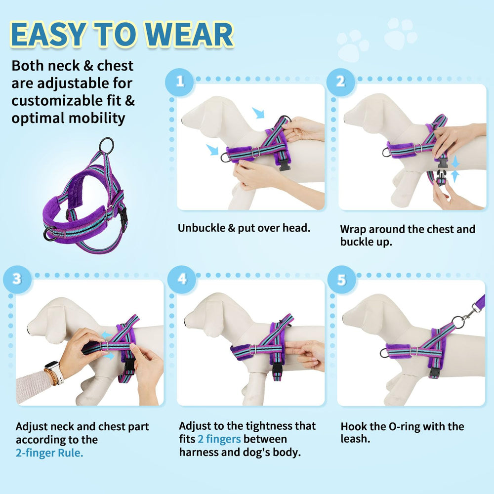 SlowTon conjunto ligero, ideal para perros pequeños y medianos