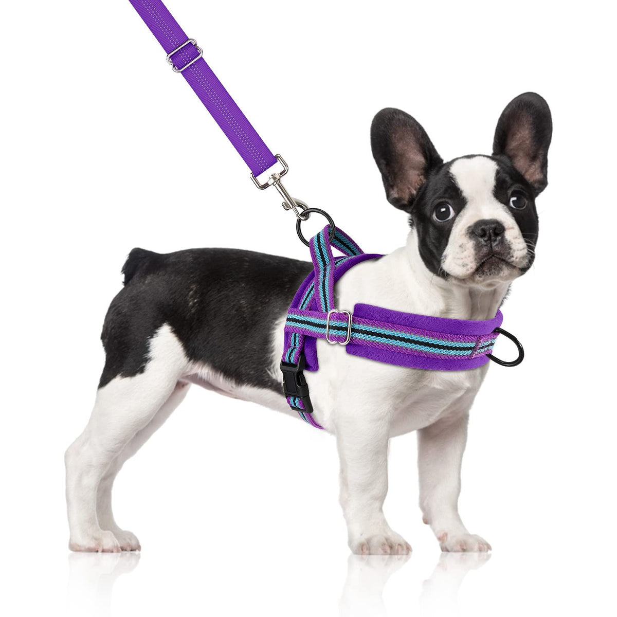 SlowTon arnés sin tirones con clip frontal para perros pequeños, reduce jalones durante paseos